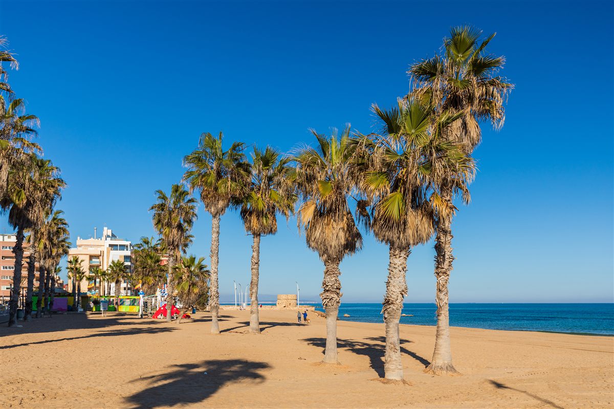 Dónde Comer en Torrevieja