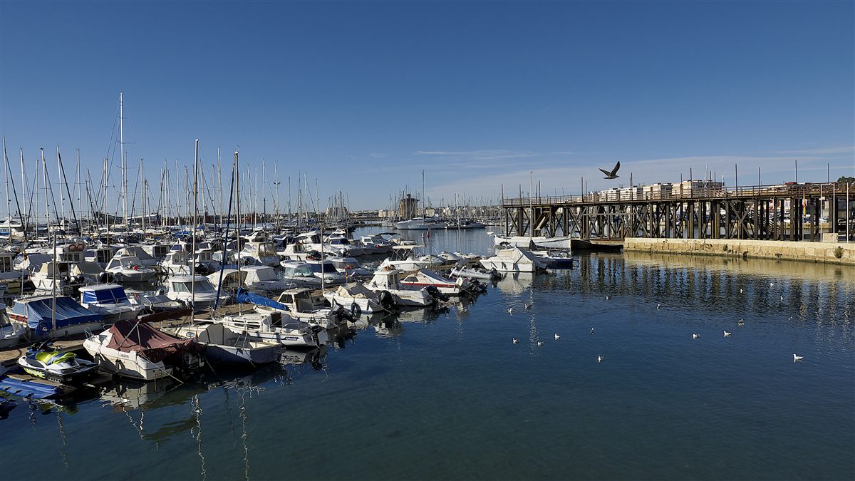 Puerto Deportivo de Torrevieja - Museos